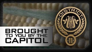 DISTRICT 11 - A Message From The