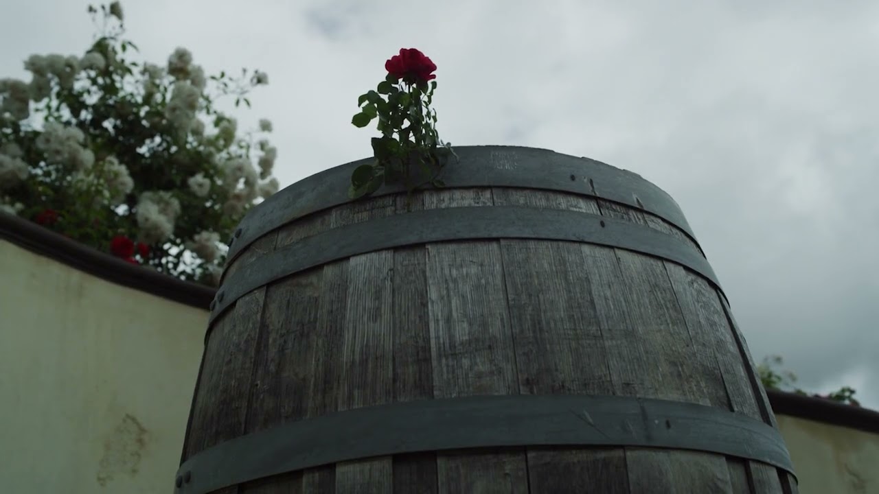 Prognoza pogody 17.10.2025 | TV Republika