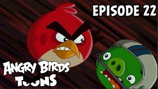 Angry Birds Toons #22 - Vajce ilo na prechdzku