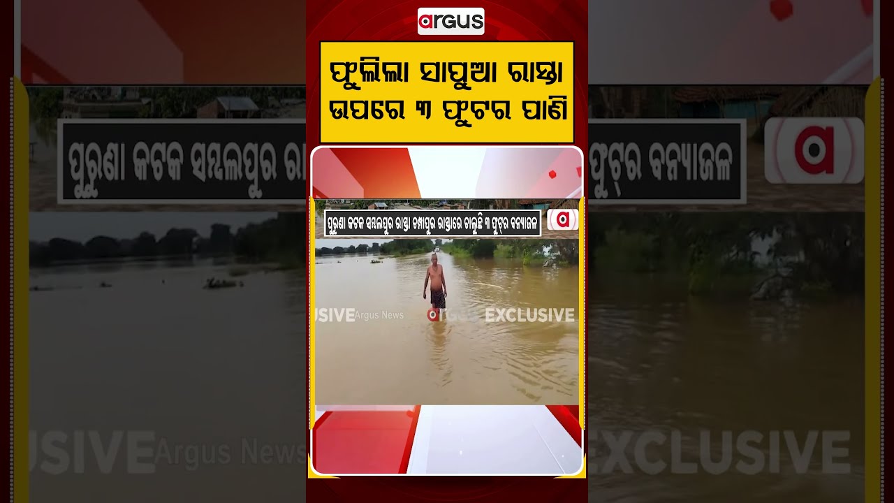ରାସ୍ତା ଉପରେ ୩ ଫୁଟର ପାଣି | Athagarh Flood Alert | 3-Foot Water Covers Champapur Road | Argus News