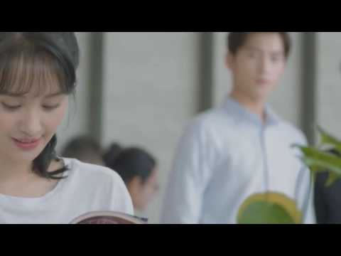 杨洋&郑爽 ♥那些年♥