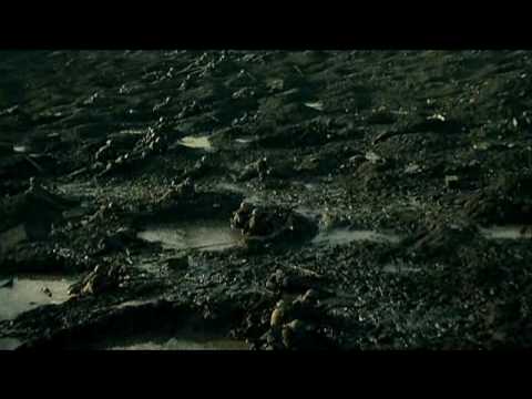 Passchendaele'