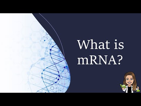 What is mRNA?