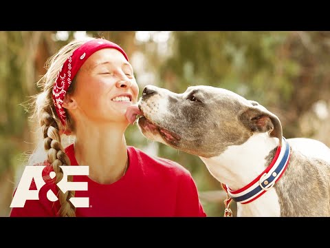 America's Top Dog'
