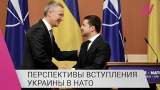 Личное: «Страны НАТО боятся масштабной ядерной войны»: что останавливает Украину от вступления в Альянс
