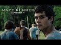 Button to run trailer #5 of 'The Maze Runner'