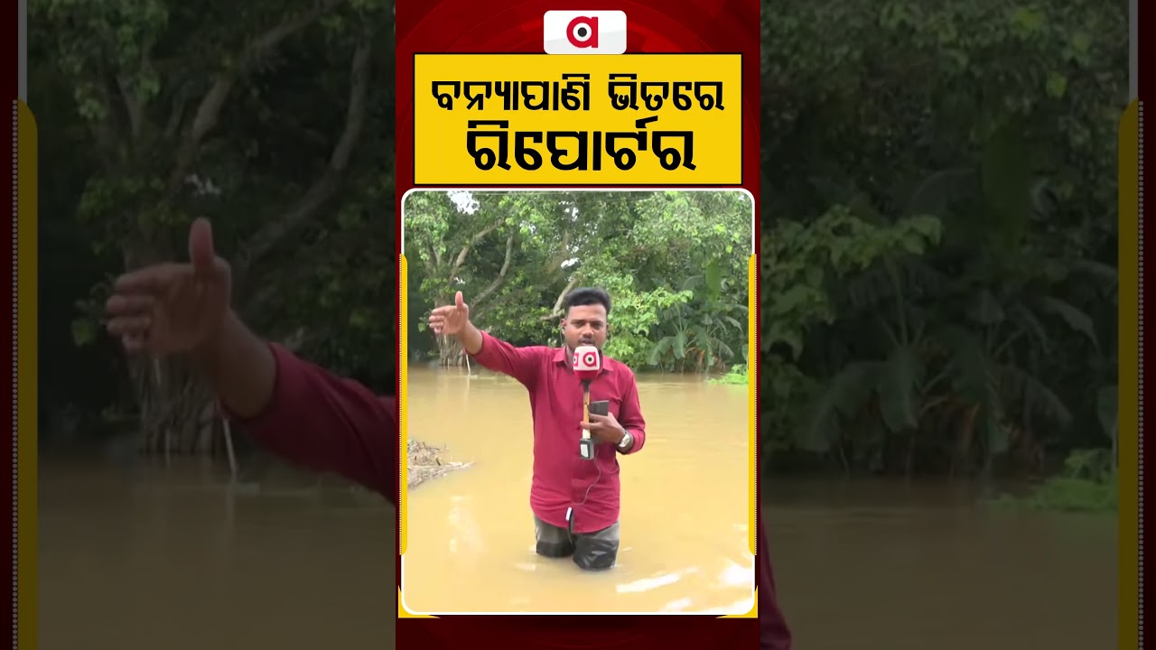 ବନ୍ୟା ପାଣି ଭିତରେ ରିପୋର୍ଟର | Ground Report From Deep Floodwaters | Odisha Flood | Argus News