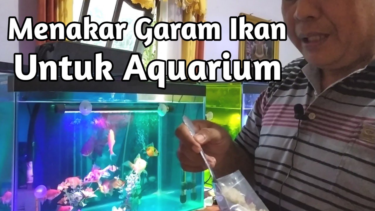 80 Susunan Filter Aquarium Mas Koki Gratis Terbaik