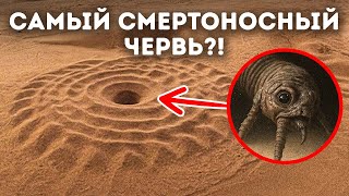 Страшное существо всё ещё прячется под песками пустыни?