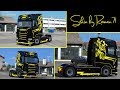 Scania New Generation S JMT Skin v1.0