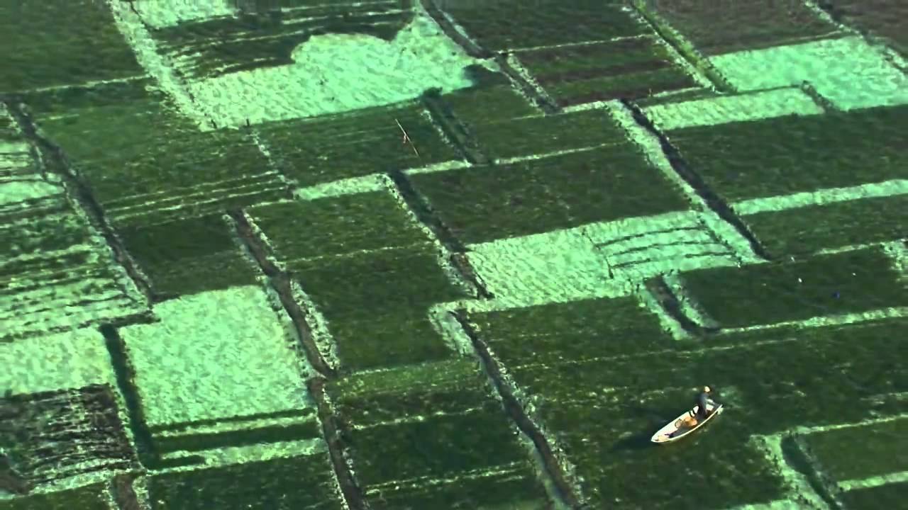 Mieux gérer nos océans - Planète Océan