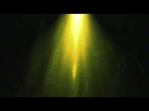 The Encounter'
