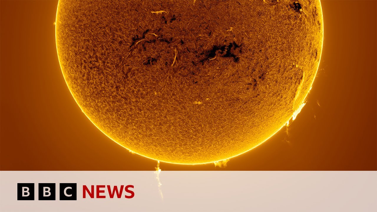 Stunning photos show the Sun like never before | BBC News