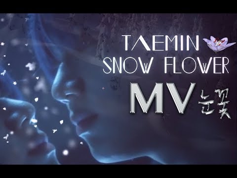 Taemin - Snow Flower MV & Lyrics (HD) '태민 눈꽃 가사'