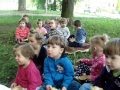 Misiaczki na pikniku