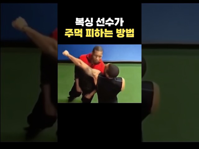 복싱 선수가 주먹 피하는 방법ㄷㄷ