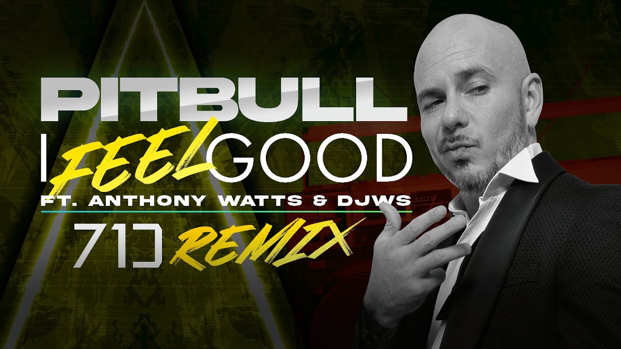 Pitbull Ft. Anthony Watts & DJWS - I Feel Good 71J Remix (Visualizer)