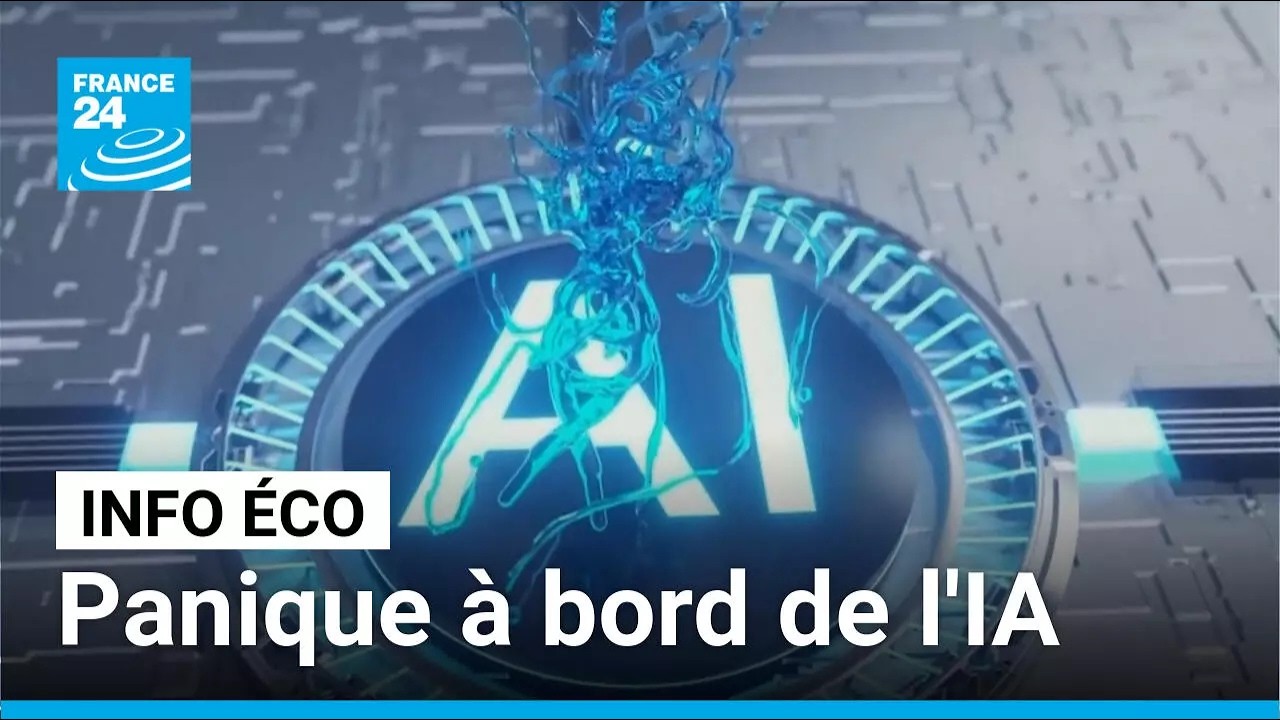 Panique à bord de l'IA • FRANCE 24