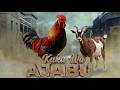 KUKU WA AJABU 38