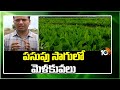 Techniques in Turmeric Cultivation | పసుపు సాగుతో మెళకువలు | Matti Manishi | 10TV News
