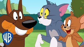 Tom a Jerry a míček