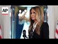 Author Michael Wolff sues Melania Trump over Epstein-related claims