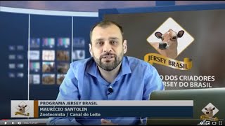 A situação atual da Raça Jersey no Brasil  - PGM JERSEY BRASIL #1