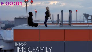 Тимур TIMBIGFAMILY — По кайфу | Official Audio | 2025