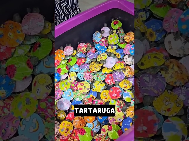Adesivos Fofos Nas Tartarugas 🐢