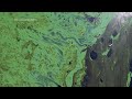 Toxic algae engulfs Latin America’s largest lake