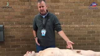 Lifecast Senior (Pete)&nbsp;
, 1025083, Adult (Video)