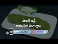 Aarogyame Mahayogam | Ep - 844 | Mar 28, 2023 | Best Scene | Zee Telugu  - 03:24 min - News - Video