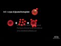 A1C Test for Diabetes, Animation