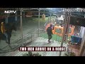 Two Men On Horse Try To Steal Temple Donation Box, This Is What Happened Next  - 00:40 min - News - Video