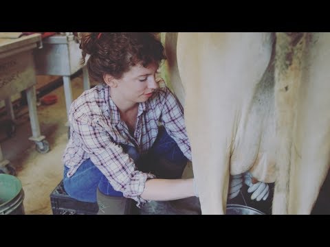 WE DIDN'T MILK OUR COW FOR 2 MONTHS... WHAT HAPPENED TO HER MILK PRODUCTION?
