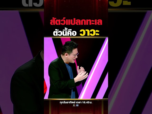 สัตว์แปลกทะเล แต่รสชาติอร่อยแบบไม่มีที่ติ