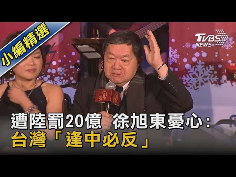 遭陸罰20億 徐旭東憂心:台灣「逢中必反」