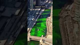 Они ПОКРАСИЛИ РЕКУ в зелёный #шортс #shorts