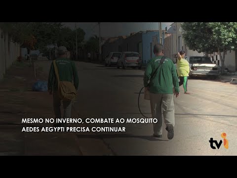 Vídeo: Mesmo no inverno o combate ao mosquito Aedes Aegypti precisa continuar