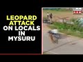 Leopard attacks residents in Mysuru, viral video