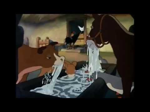 Farmyard Symphony'