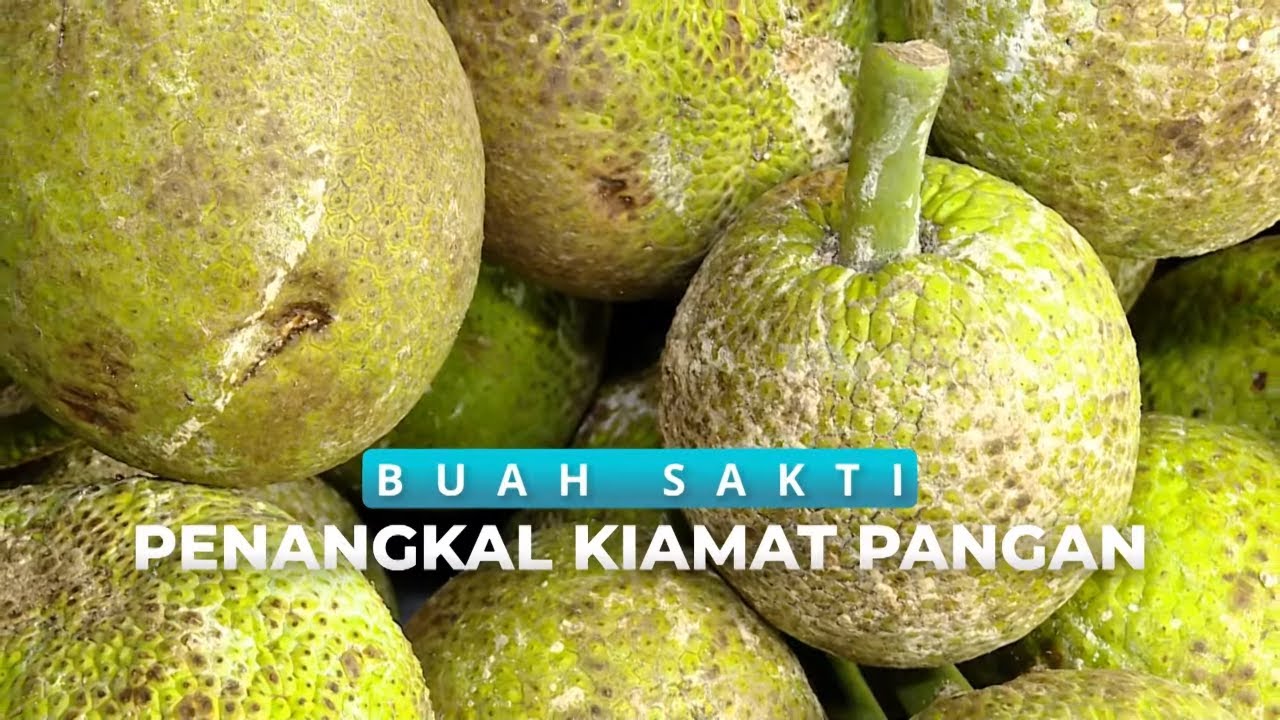 Buah Sakti Panangkal Kiamat Pangan | SECRET STORY (04/01/25)