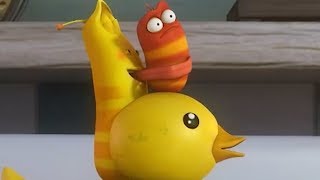 Larva - gumová kachnička
