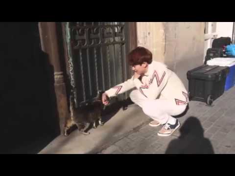 EXO Chanyeol playing with a cat