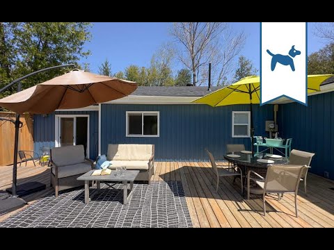 Property video