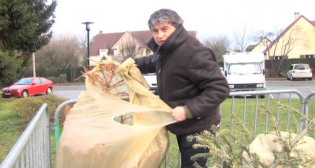 Les sapins se recyclent à Montigny-le-Bretonneux