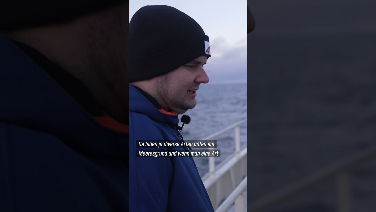 Meeresbiologe auf dem Fischtrawler ndr doku fischerei