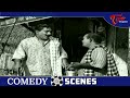 ఇంత మందిని కన్నాక కూడానా .. | Suryakantham And Relangi Best Comedy Scenes | NavvulaTV  - 08:35 min - News - Video