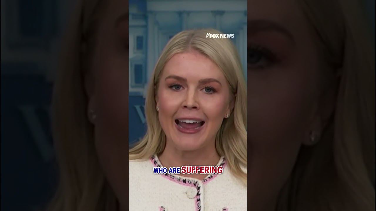 Karoline Leavitt: The Democrats are playing ‘political games’ #shorts #fox #media #shutdown