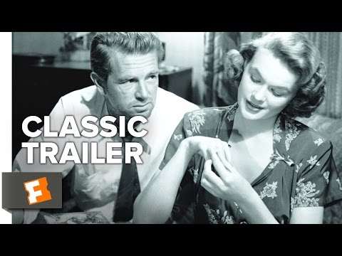 The Asphalt Jungle'
